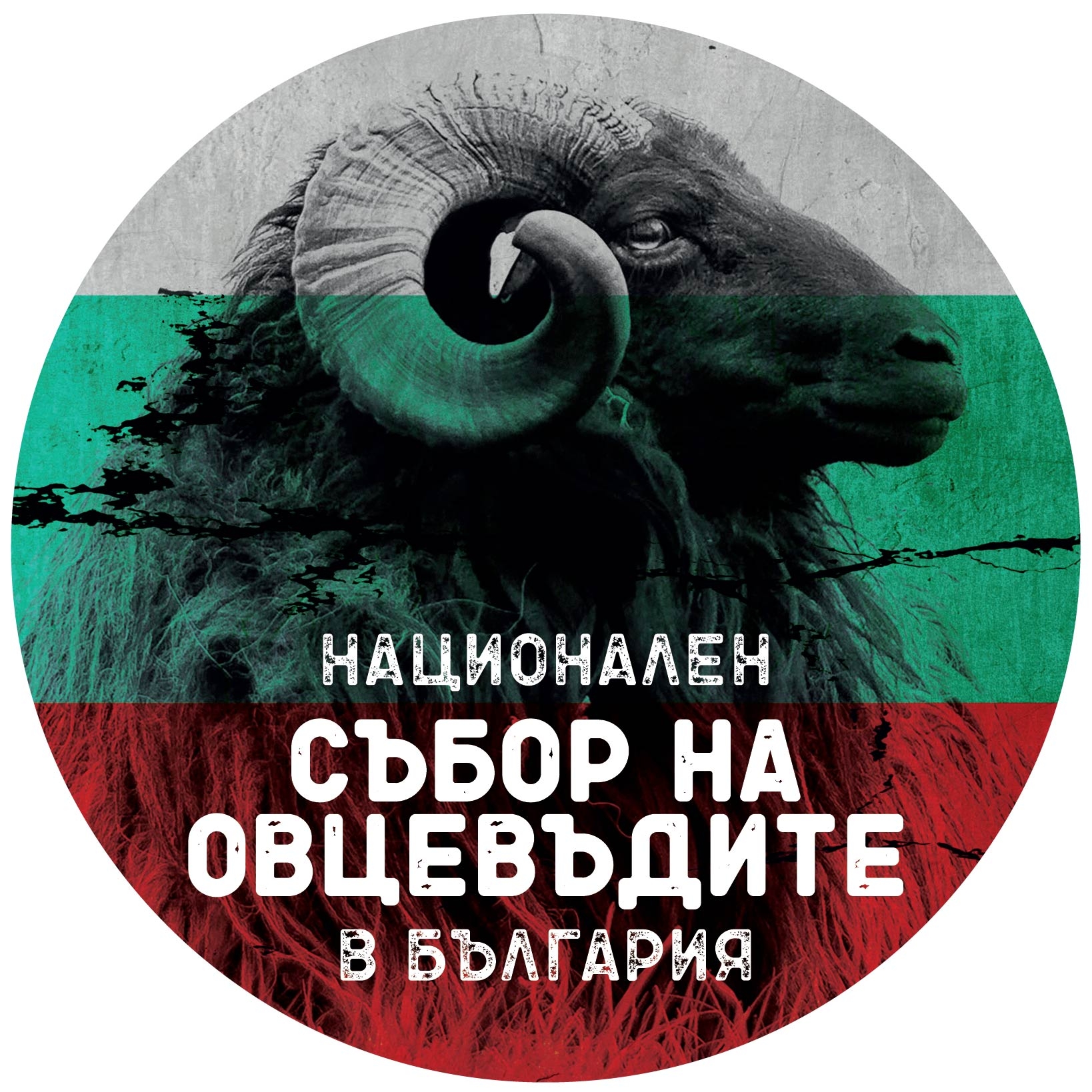 Участие в Националния събор на овцевъдите в България